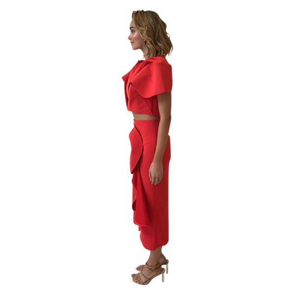 Acler crawford dress on sale