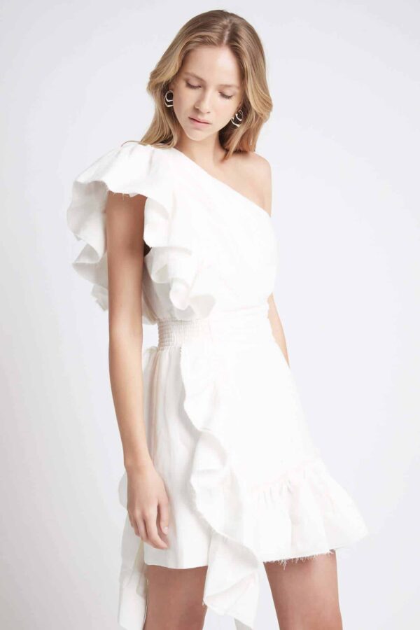 bonjour mini dress Bonjour Mini Dress