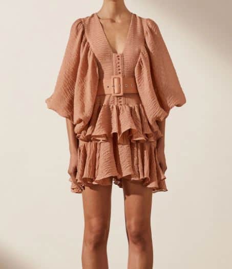 shonia mini dress dusty rose Briar Embellished Corset in style fabric Chella Sleeveless Mini Dress Dusty